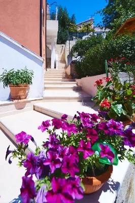 Vrt u objektu APARTMENT ORIJA