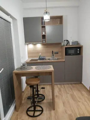Kuhinja ili čajna kuhinja u objektu Studio apartman Oliva