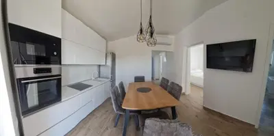 Kuhinja ili čajna kuhinja u objektu Apartman Brajkovic