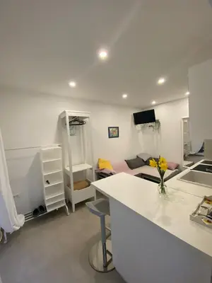 TV i/ili zabavni centar u objektu Lovely Suite