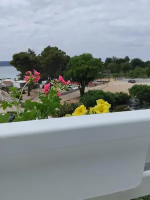 Priroda u blizini apartmana