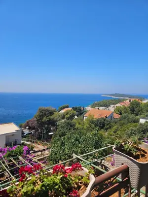 Priroda u blizini apartmana