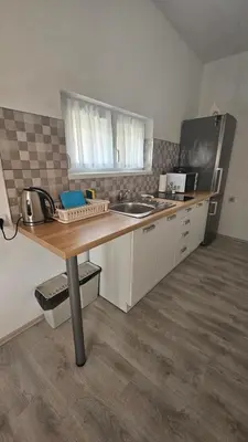 Kuhinja ili čajna kuhinja u objektu apartmantaja
