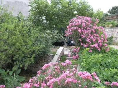 Vrt u objektu Beachfront House with garden and two terraces