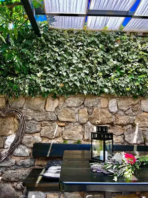 Pića u objektu Holiday Home NIKO