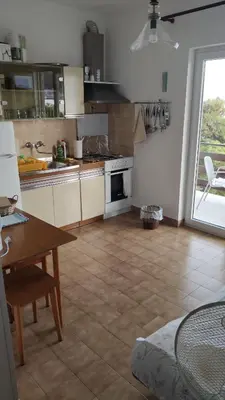 Kuhinja ili čajna kuhinja u objektu Apartments Čorkalo
