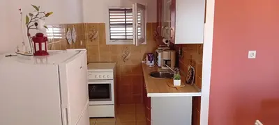 Kuhinja ili čajna kuhinja u objektu Apartmani Alaga B