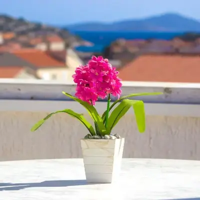 Apartmani Alaga B