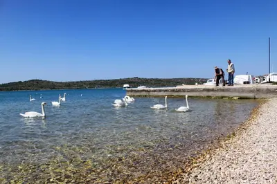 Priroda u blizini apartmana