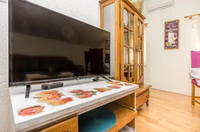 TV i/ili zabavni centar u objektu Apartment Nada