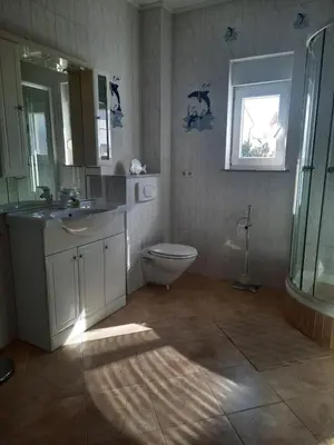 Kupaonica u objektu Pansion Dovodja