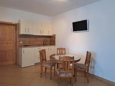 Kuhinja ili čajna kuhinja u objektu Pansion Dovodja