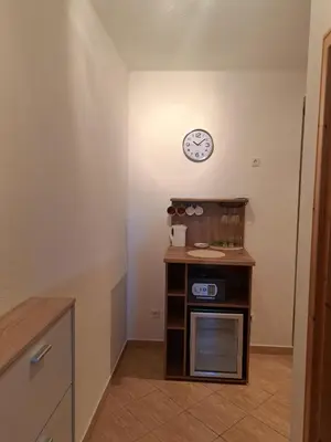 Kuhinja ili čajna kuhinja u objektu Pansion Dovodja