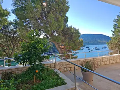Priroda u blizini apartmana