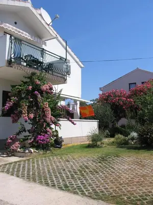 Pogled na planine ili pogled na planine iz apartmana