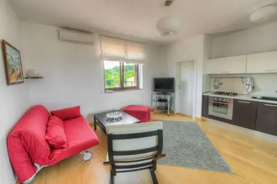 Kuhinja ili čajna kuhinja u objektu Apartments Villa Renata