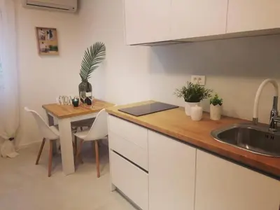 Kuhinja ili čajna kuhinja u objektu Apartments Diana Lovetovo