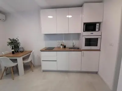 Kuhinja ili čajna kuhinja u objektu Apartments Diana Lovetovo
