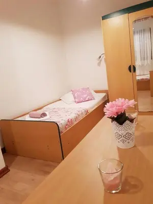 Krevet ili kreveti u jedinici u objektu Apartments Diana Lovetovo