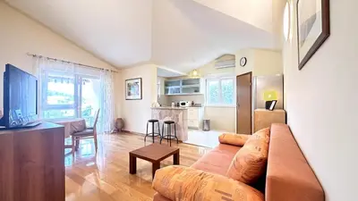 TV i/ili zabavni centar u objektu Spacious Apt in Tisno Near Garden Resort – 4 Min