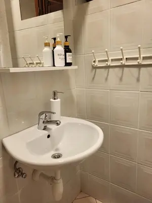 Kupaonica u objektu Apartman Pepa Murter