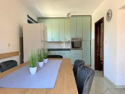 Kuhinja ili čajna kuhinja u objektu Apartman Natty