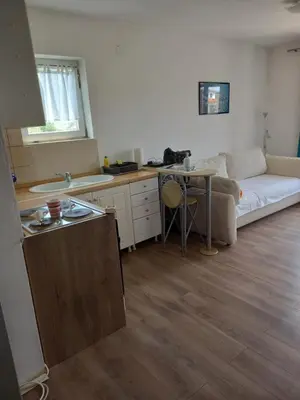 Kuhinja ili čajna kuhinja u objektu Apartments Triton
