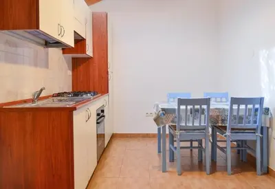 Kuhinja ili čajna kuhinja u objektu Apartments Antonija Pirovac