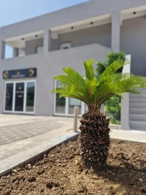 Zgrada u kojoj se nalazi apartman