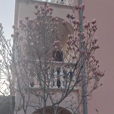 Tlocrt objekta Apartman Iva