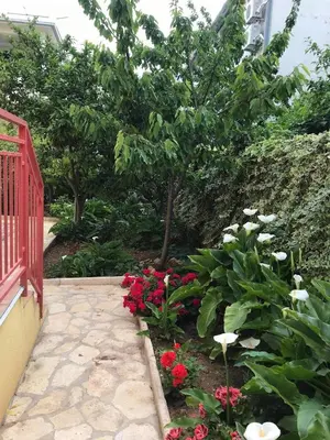 Vrt u objektu Apartments Villa Sarajevo