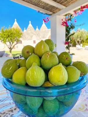Hrana u apartmanu ili u blizini