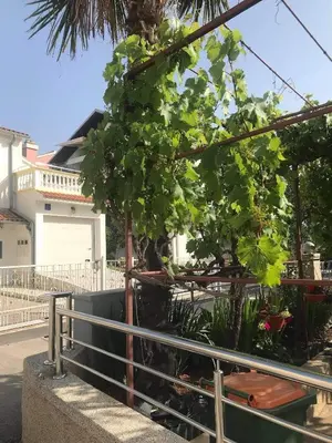 Vrt u objektu Apartments Villa Tanja
