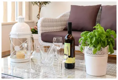 Pića u objektu Luxury Penthouse Roberta