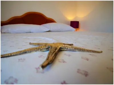 Krevet ili kreveti u jedinici u objektu Apartments Andi