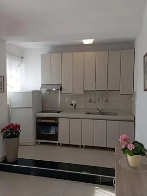 Kuhinja ili čajna kuhinja u objektu Apartmani Trubi 1