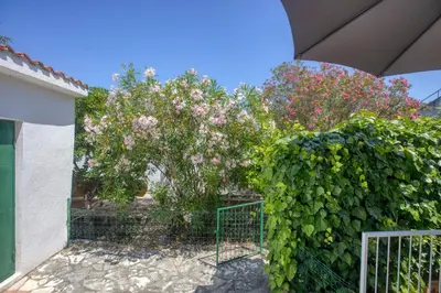 Vrt u objektu Holiday house with a parking space Jadrija, Sibenik - 20641
