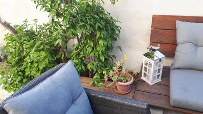 Vrt u objektu Apartman Hidden Gem