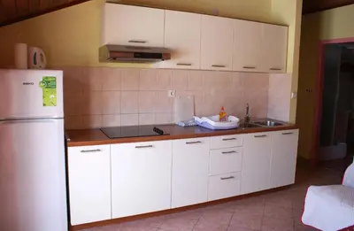 Kuhinja ili čajna kuhinja u objektu Apartments by the sea Grebastica, Sibenik - 20736