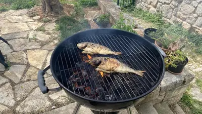 Oprema za roštilj dostupna gostima apartmana