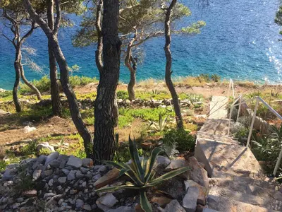 Priroda u blizini apartmana