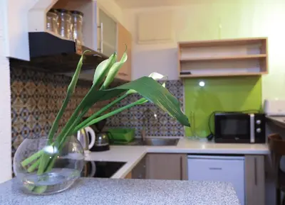 Kuhinja ili čajna kuhinja u objektu Apartment Secret life