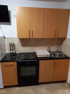 Kuhinja ili čajna kuhinja u objektu Žulj Vodice