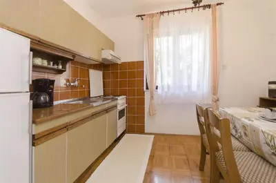 Kuhinja ili čajna kuhinja u objektu Apartments Nada