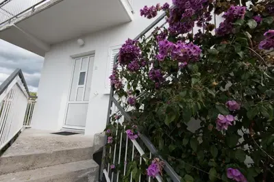 Vrt u objektu Apartment in Stupin Celine with sea view, balcony, air conditioning, WiFi 5149-1