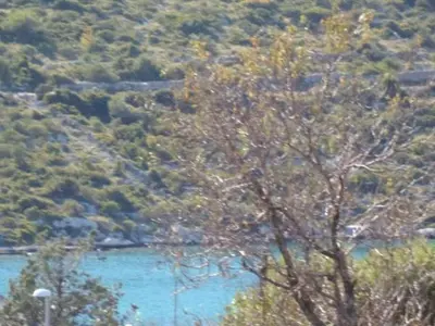 Priroda u blizini apartmana