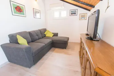 TV i/ili zabavni centar u objektu Apartments Njoko