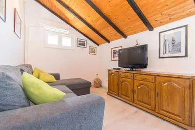 TV i/ili zabavni centar u objektu Apartments Njoko