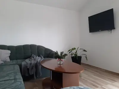 TV i/ili zabavni centar u objektu Apartments Tea and Tamara