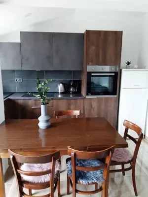 Kuhinja ili čajna kuhinja u objektu Apartments Tea and Tamara